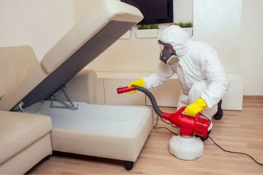 bed bug extermination cobourg