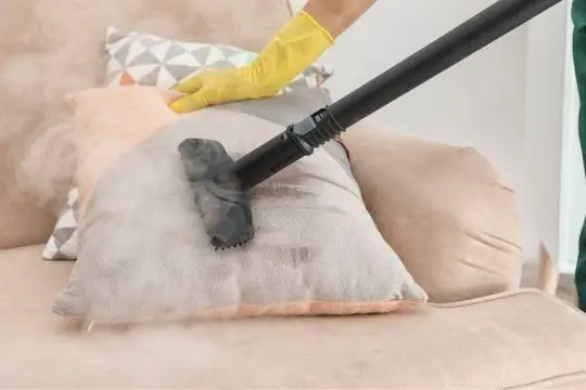 steam bed bug treatment cobourg